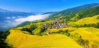 Ping An Rice Terraces 